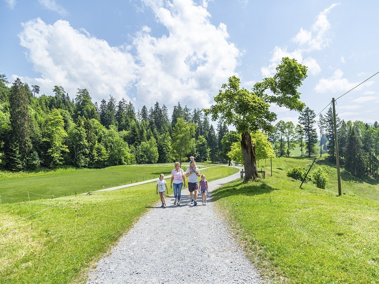 Family walking on a path